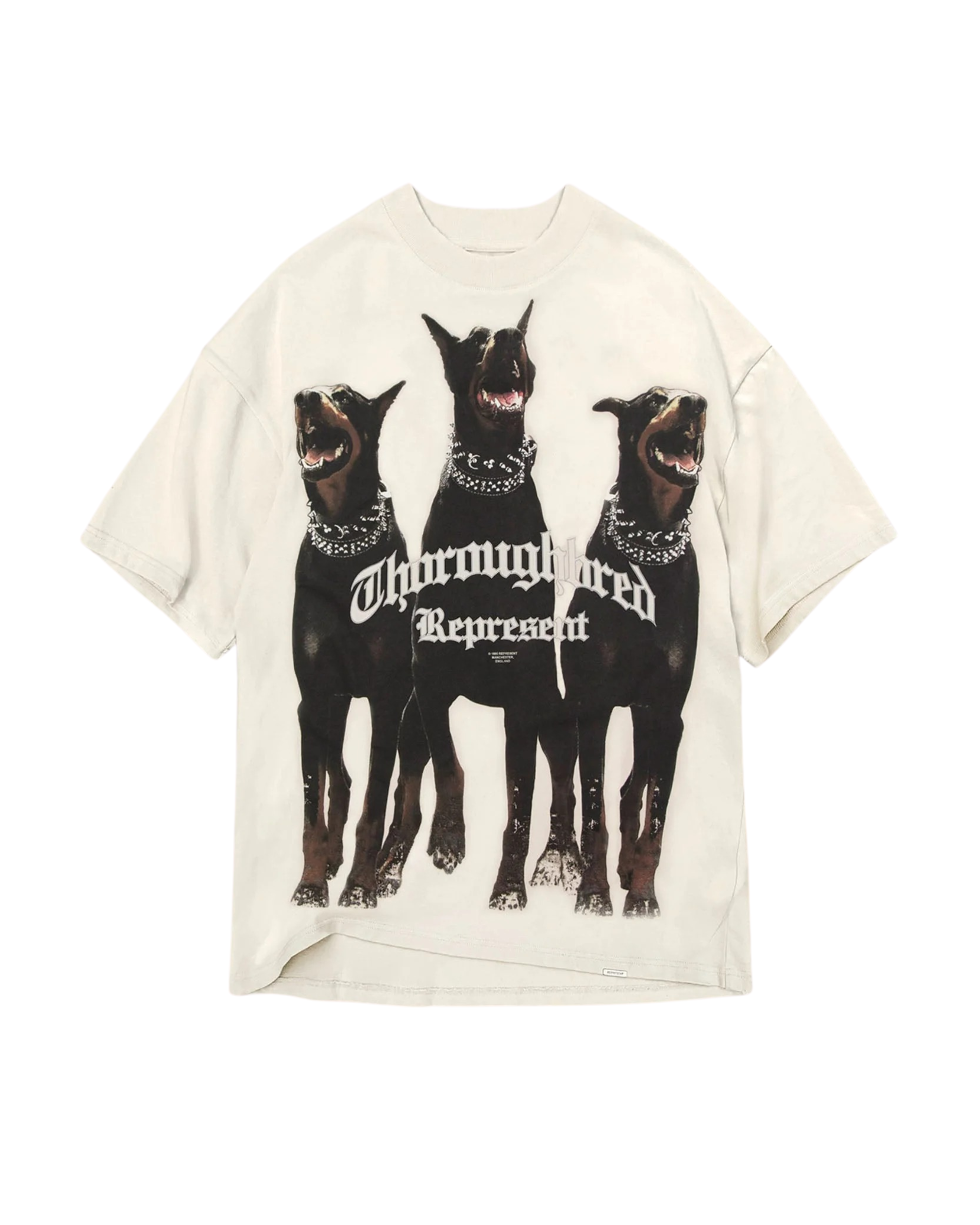 Represent Thoroughbred T-Shirt - "Vintage White"